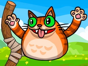 Angry Cat Shot - Play Free Best Shooting Online Game on JangoGames.com