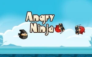 Angry Ninja - Play Free Best action Online Game on JangoGames.com