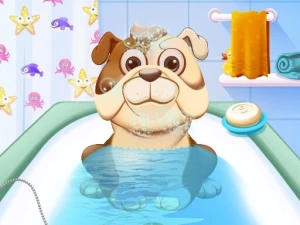 Animal Daycare - Play Free Best Girls Online Game on JangoGames.com