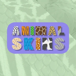 Animal Skins - Play Free Best Educational Online Game on JangoGames.com