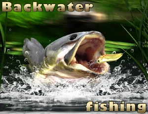 Backwater Fishing - Play Free Best Simulation Online Game on JangoGames.com