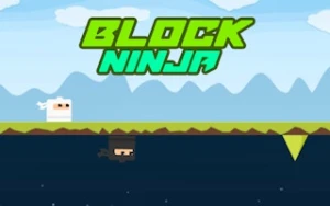 Block Ninja - Play Free Best arcade Online Game on JangoGames.com