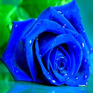Blue Roses Puzzle - Play Free Best Puzzle Online Game on JangoGames.com