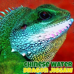 Chinese Water Dragon Jigsaw - Play Free Best Puzzle Online Game on JangoGames.com