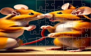 Cute Hamsters Picture piece - Play Free Best animal Online Game on JangoGames.com