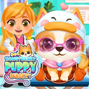 Doc HoneyBerry Puppy Surgery - Play Free Best Care Online Game on JangoGames.com
