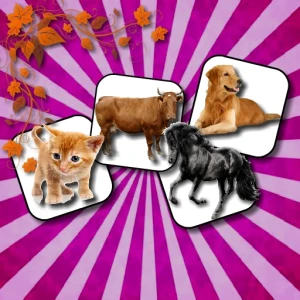 Domestic Animal Memory Challenge - Play Free Best Puzzle Online Game on JangoGames.com