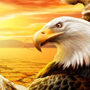 Eagle Slide - Play Free Best Puzzle Online Game on JangoGames.com