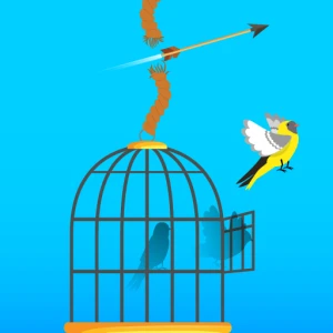 Free Birds - Play Free Best Puzzle Online Game on JangoGames.com