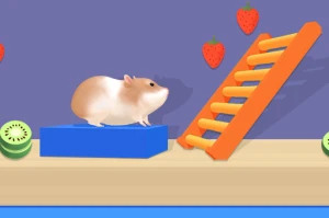 Hamster Maze Online - Play Free Best Casual Online Game on JangoGames.com