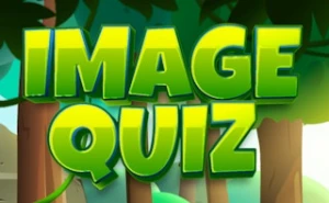 Image Quiz - Play Free Best kids Online Game on JangoGames.com