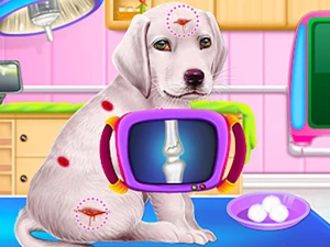 Labrador Puppy Daycare Salon - Play Free Best Hypercasual Online Game on JangoGames.com