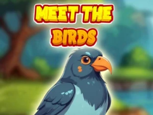 Meet The Birds - Play Free Best  Online Game on JangoGames.com