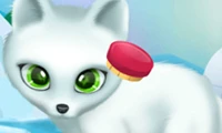 Paws to Beauty: Arctic Edition - Play Free Best Dress-up Online Game on JangoGames.com