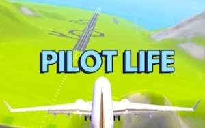 Pilot Life - Flight Game 3D - Play Free Best flight Online Game on JangoGames.com