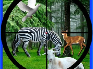 Real Jungle Animals Hunting - Play Free Best  Online Game on JangoGames.com