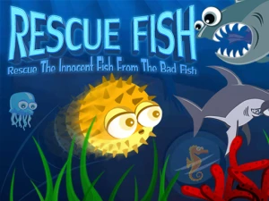 Rescue Fish - Play Free Best Casual Online Game on JangoGames.com