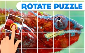 Rotate Puzzle - Play Free Best jigsaw-puzzles Online Game on JangoGames.com