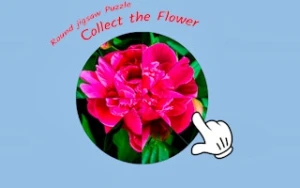 Round jigsaw Puzzle - Collect the Flower - Play Free Best puzzle Online Game on JangoGames.com
