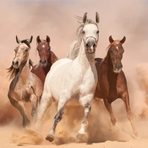 Running Horse Slide - Play Free Best Puzzle Online Game on JangoGames.com
