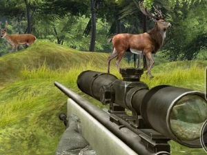 Sniper Hunting Deadly Animal - Play Free Best  Online Game on JangoGames.com