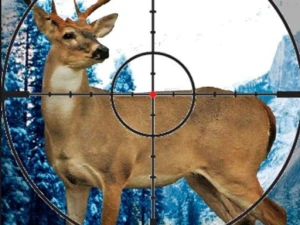 Sniper Stag Hunter - Play Free Best Shooter Online Game on JangoGames.com