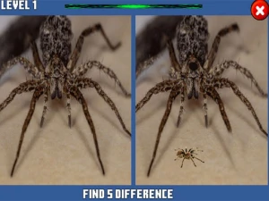 Spider Hidden Difference - Play Free Best Hypercasual Online Game on JangoGames.com