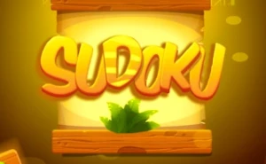 Sudoku Levels - Play Free Best brain Online Game on JangoGames.com