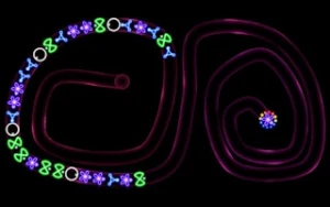 TD Neon Shoot - Zuma - Play Free Best match-3 Online Game on JangoGames.com
