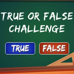 True or False Challenge - Play Free Best Casual Online Game on JangoGames.com
