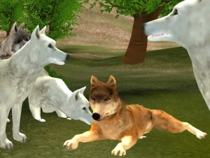 Wild Wolves - Play Free Best  Online Game on JangoGames.com