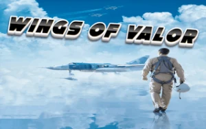 Wings of Valor - Play Free Best flight Online Game on JangoGames.com